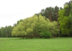 Duitsland Elly (61)
